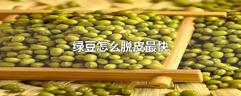 绿豆怎么脱皮最快