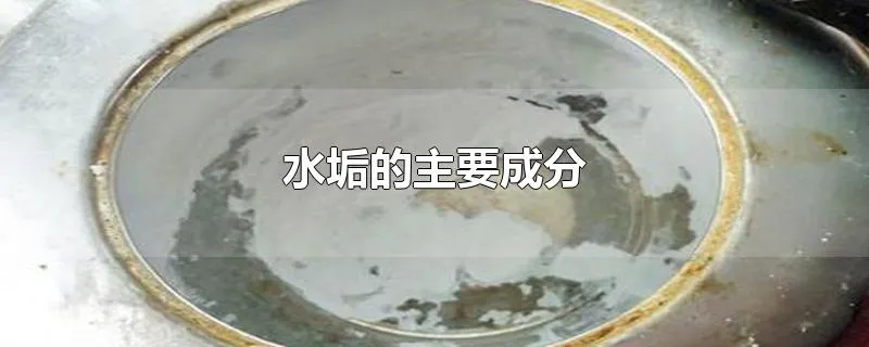 水垢的主要成分