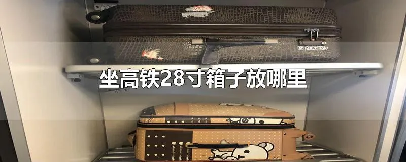 坐高铁28寸箱子放哪里