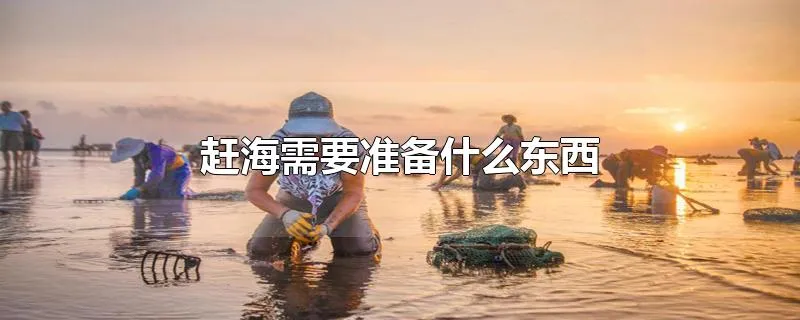 赶海需要准备什么东西