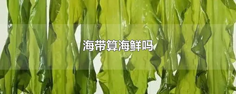 海带算海鲜吗