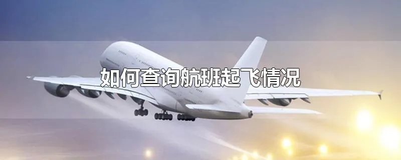 如何查询航班起飞情况