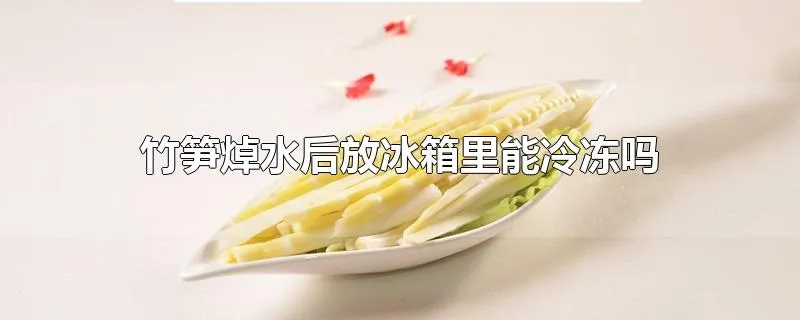 竹笋焯水后放冰箱里能冷冻吗