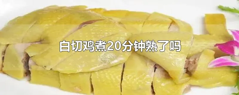 白切鸡煮20分钟熟了吗