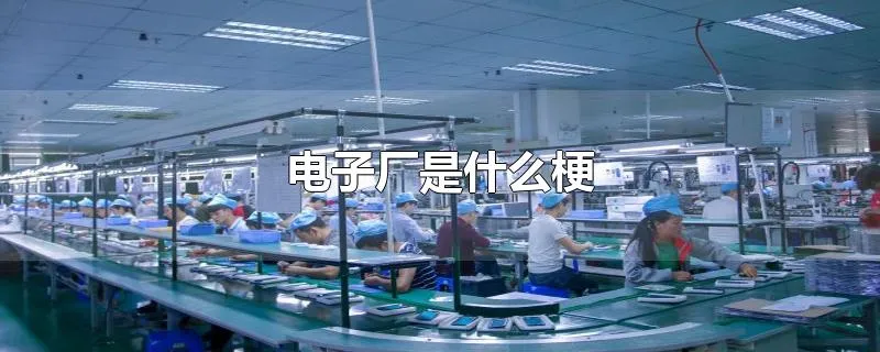 电子厂是什么梗