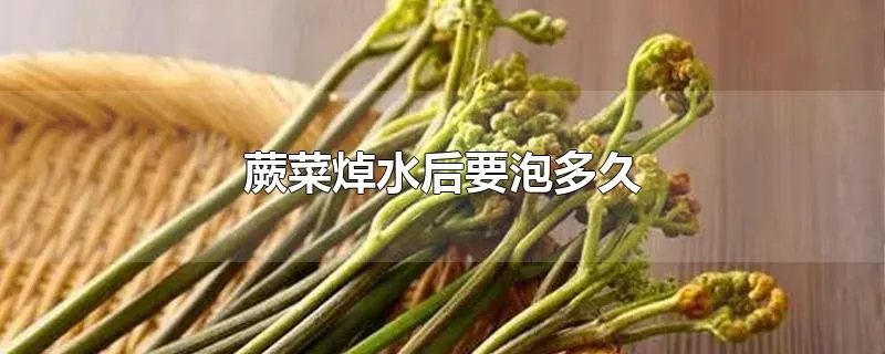 蕨菜焯水后要泡多久