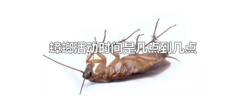 蟑螂活动时间是几点到几点