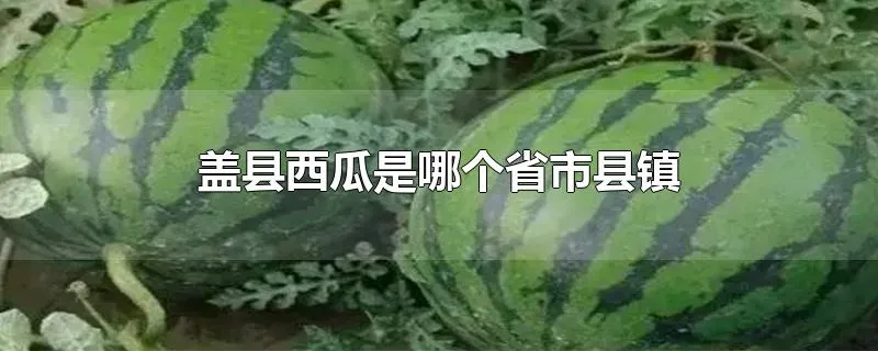 盖县西瓜是哪个省市县镇