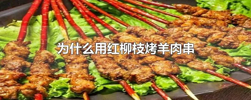 为什么用红柳枝烤羊肉串