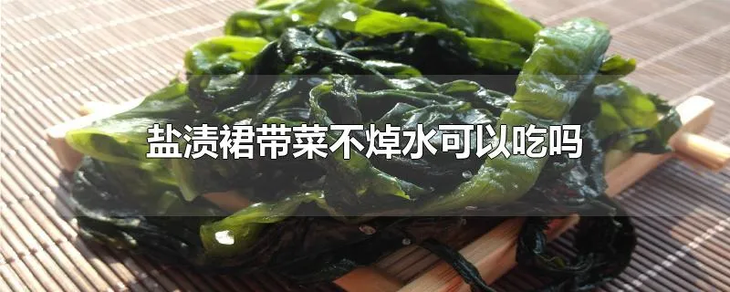 盐渍裙带菜不焯水可以吃吗