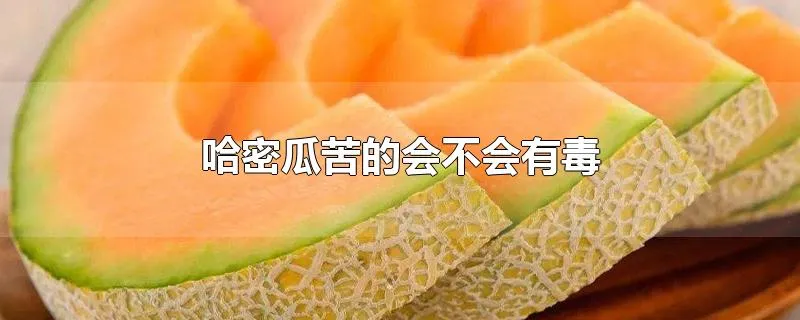 哈密瓜苦的会不会有毒