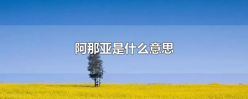 阿那亚是什么意思