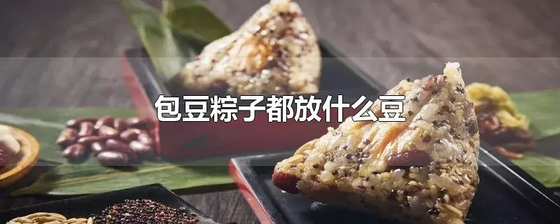 包豆粽子都放什么豆