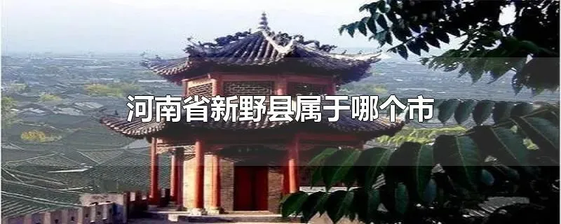 河南省新野县属于哪个市