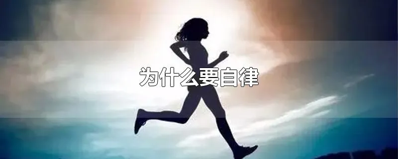 为什么要自律