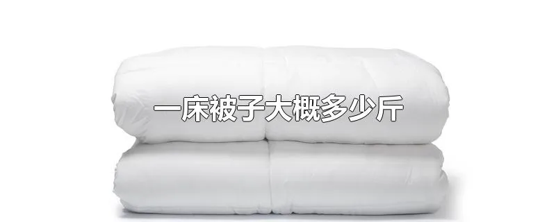 一床被子大概多少斤