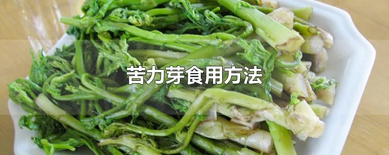 苦力芽食用方法