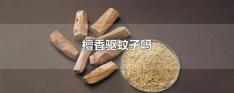 檀香驱蚊子吗