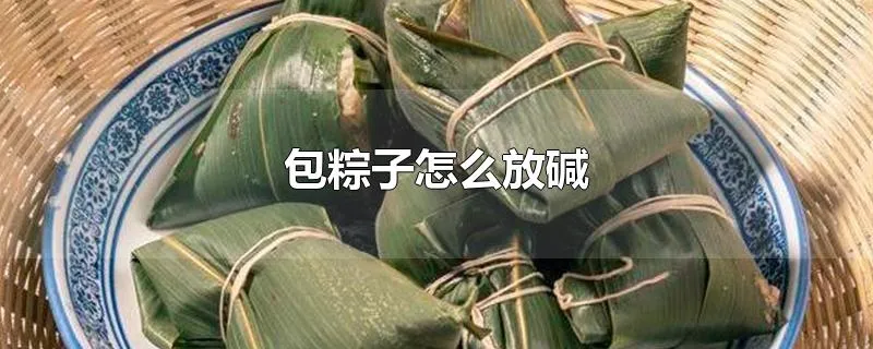 包粽子怎么放碱