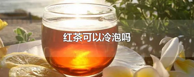 红茶可以冷泡吗