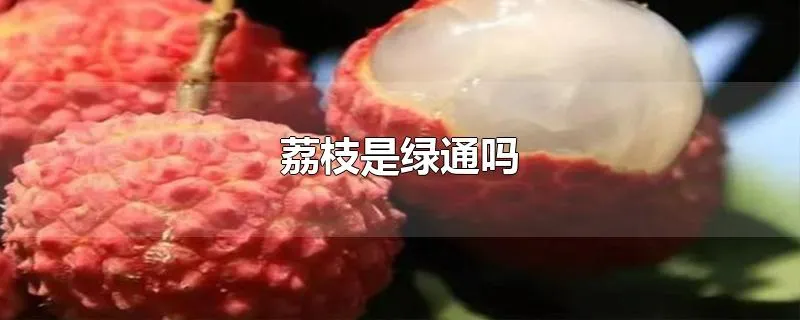 荔枝是绿通吗