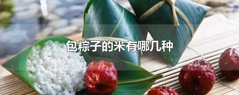 包粽子的米有哪几种