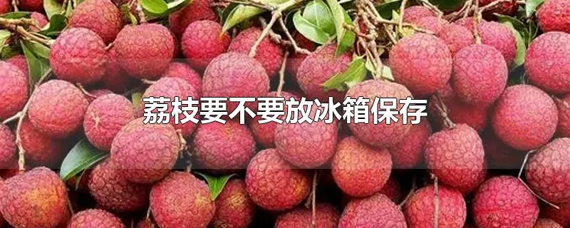 荔枝要不要放冰箱保存