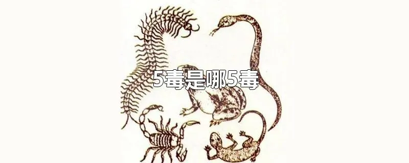 5毒是哪5毒