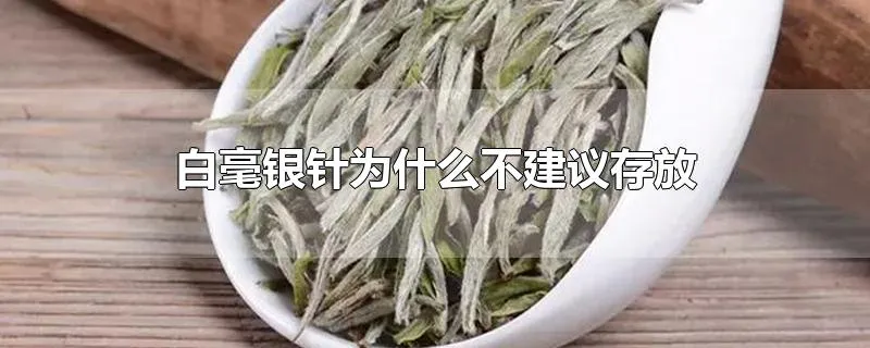 白毫银针为什么不建议存放