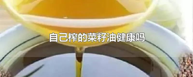 自己榨的菜籽油健康吗