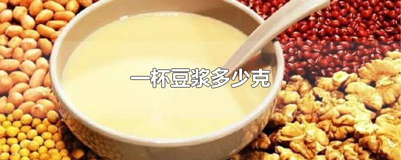 一杯豆浆多少克