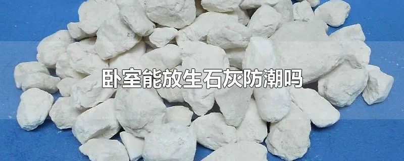 卧室能放生石灰防潮吗