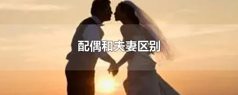 配偶和夫妻区别