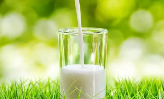 牛奶喝法不对会让健康大打折扣 应当因人