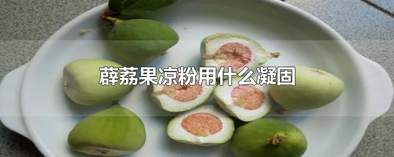 薜荔果凉粉用什么凝固