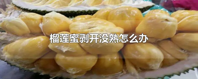 榴莲蜜剥开没熟怎么办