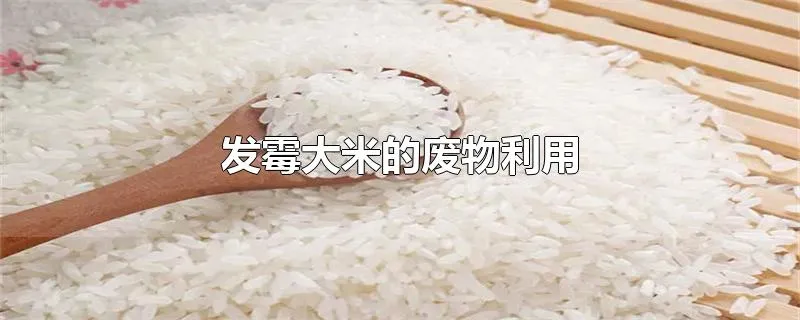 发霉大米的废物利用