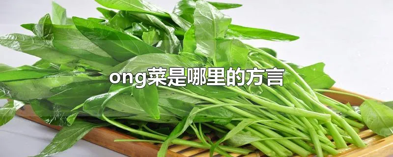 ong菜是哪里的方言