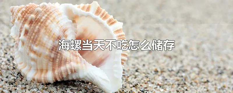 海螺当天不吃怎么储存