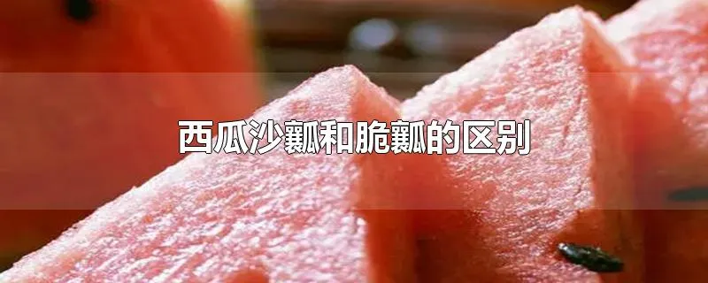 西瓜沙瓤和脆瓤的区别