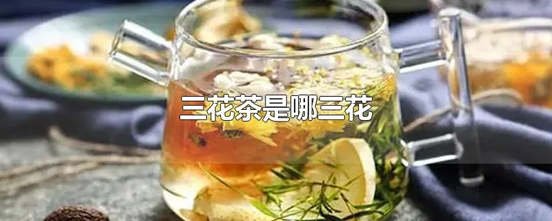 三花茶是哪三花