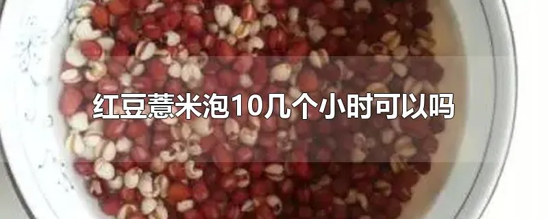 红豆薏米泡10几个小时可以吗