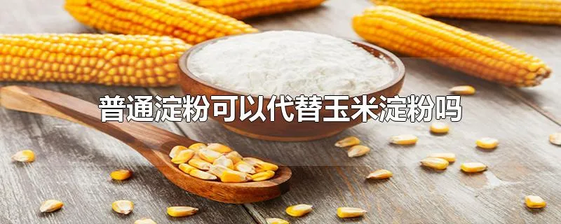 普通淀粉可以代替玉米淀粉吗