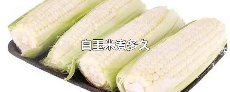 白玉米煮多久