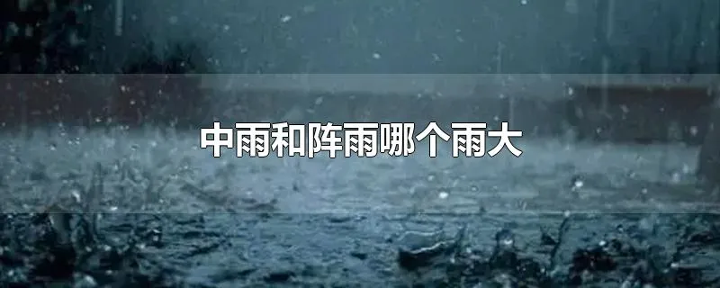 中雨和阵雨哪个雨大