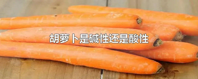 胡萝卜是碱性还是酸性