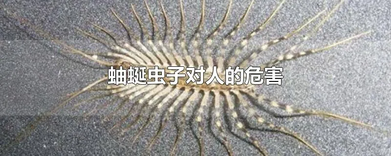 蚰蜒虫子对人的危害