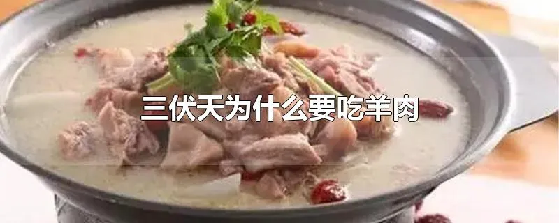 三伏天为什么要吃羊肉