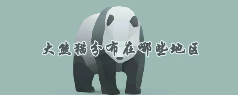 大熊猫分布在哪些地区