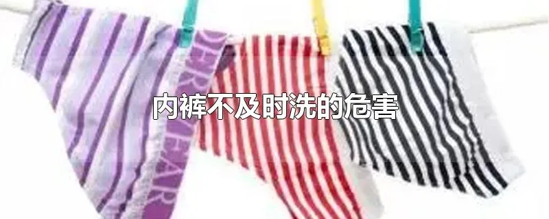 内裤不及时洗的危害